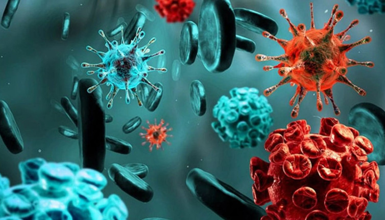 Mikroplara karşı savaşmanın sırrı! Uzmanlar anlattı