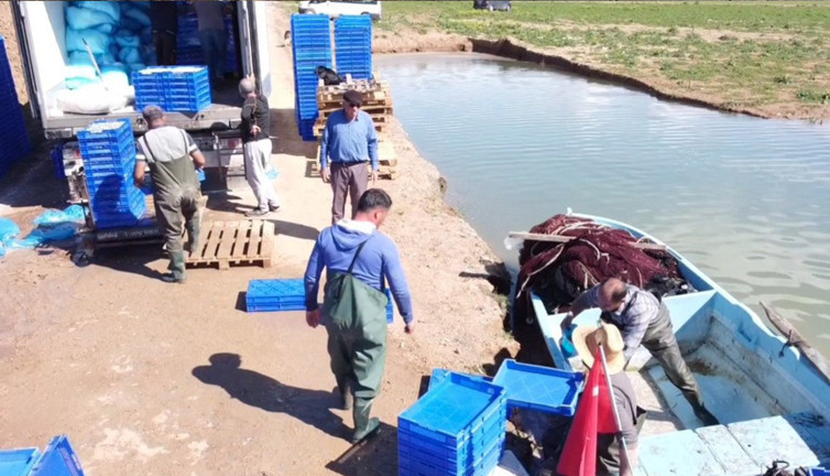 Denizi olmayan Yozgat’tan Avrupa’ya lezzet