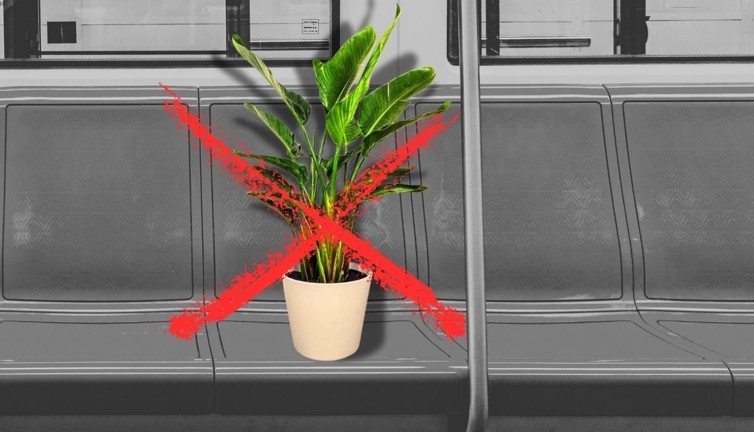 Metroda ilginç ceza: Dev bitki genç kadına pahalıya patladı