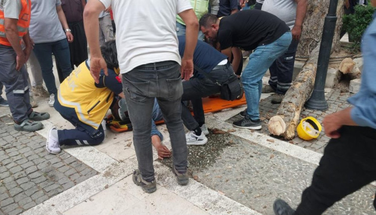 Kestiği dalı iterken düşen işçi ağır yaralı
