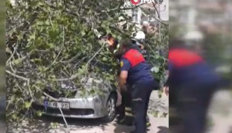 İtfaiye devreye girdi: Ağaç otomobili ezdi