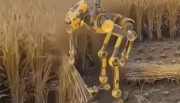 Robotlar tarlaya iniyor! Çiftçinin yeni dostu mu, rakibi mi?