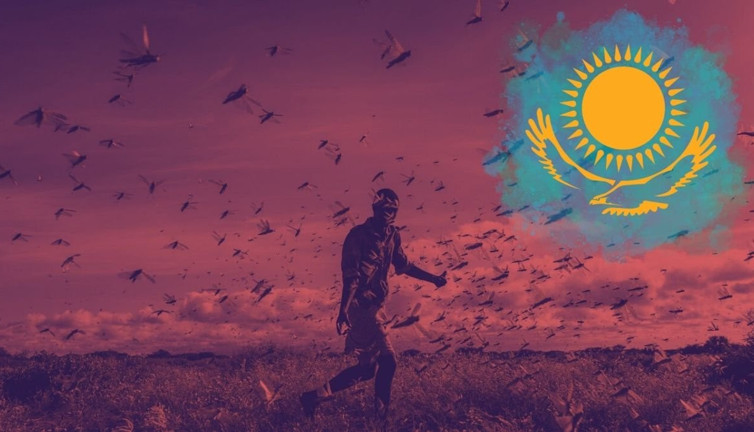 Çekirgeler Kazakistan'ı istila etti: Hükümet alarma geçti