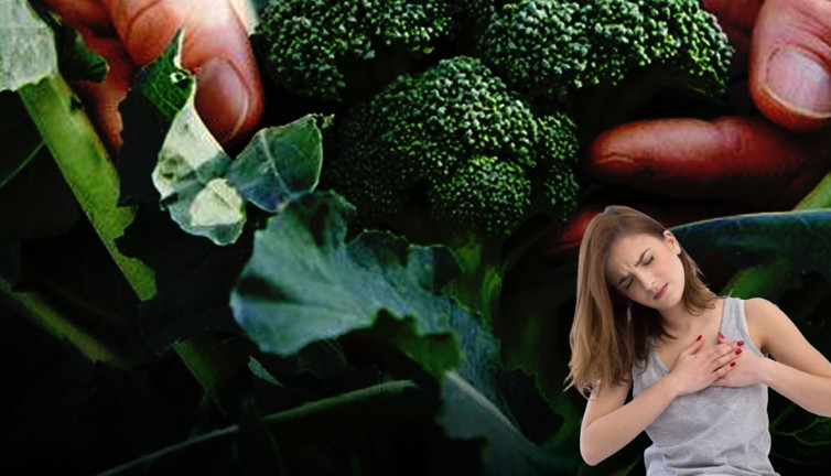 Ölümcül hastalıklara duvar ören 2 mucize besin! Hayat saçan mucizelere hucüm edeceksiniz