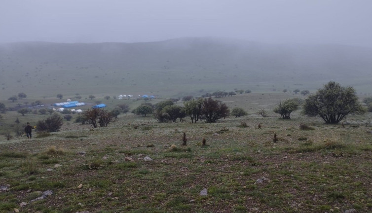 Kurt sürüsü gece vakti Hacıbayram Köyü'nü bastı: 60 kuzu telef oldu