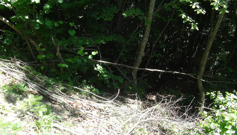 Kastamonu’da kan donduran cinayet! Balta ile öldürüp dereye atmışlardı: Zanlı kendini savundu!