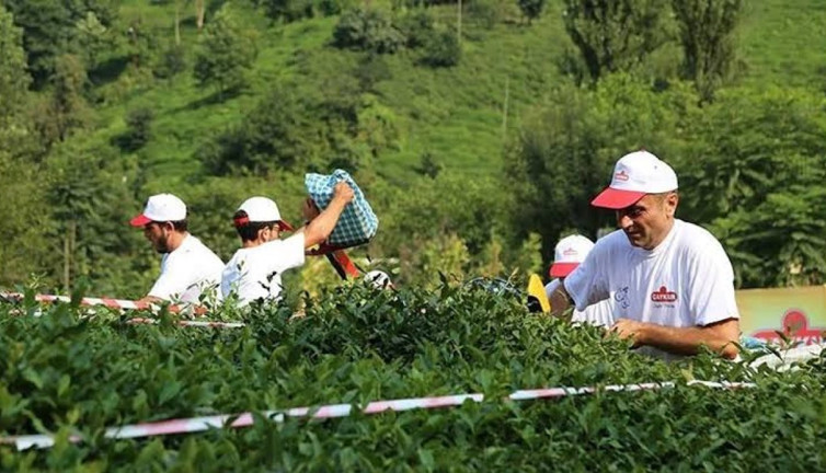 İYİ Parti Of İlçe Başkanı’ndan AKP’ye sert tepki: Çay üreticisine reva görülen bu fiyat rezilliktir