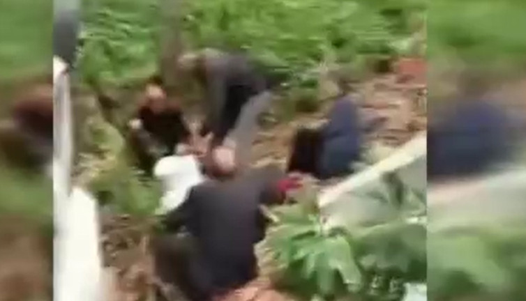 Kastamonu’da korku dolu anlar! Minibüs uçurumdan ağaca çarparak durdu. Yaralılar var