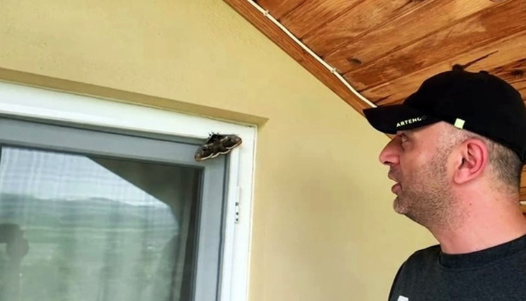 Ünlü ressam Van Gogh’un ilham perisi Sakarya’da çıktı! Görenler gözlerine inanamadı...