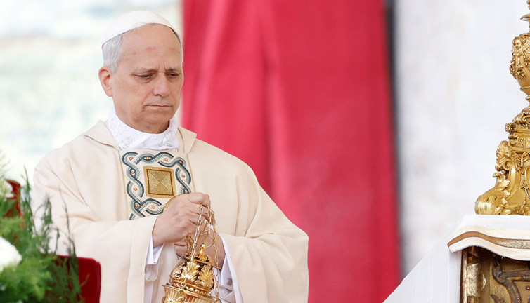 Papa 14. Leo göreve başladı