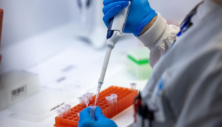 Gana'da M çiçeği tehlikesi! Dört kişide tespit edildi