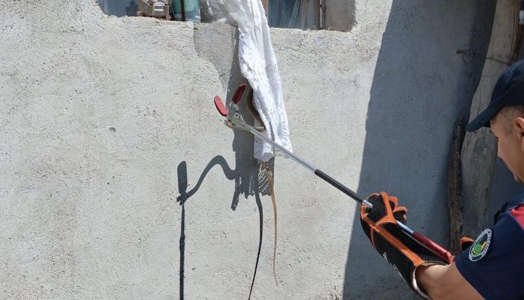 Yılan eve sızdı, ortalık karıştı! Ekipler seferber oldu!