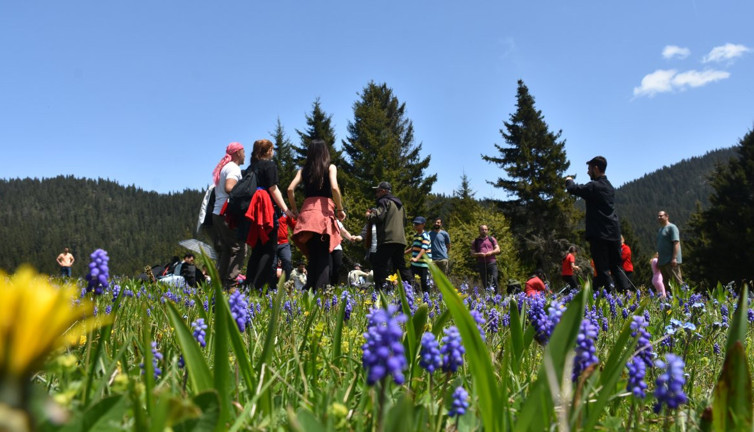 Gümüşhane'e doğa şöleni! Sisli yaylalarda kemençe ve horon keyfi...