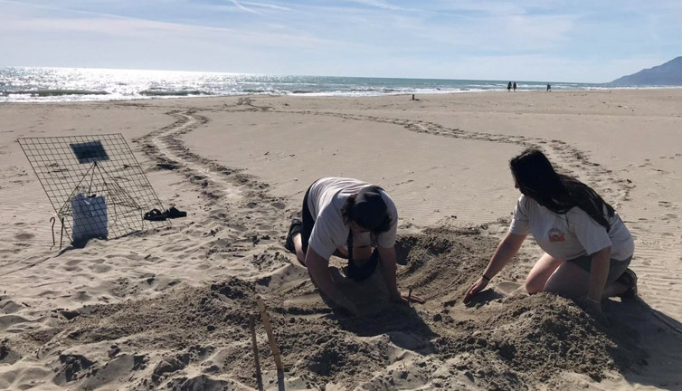 Bu sahillere gece girenler yandı! 557 bin 212 TL cezası var