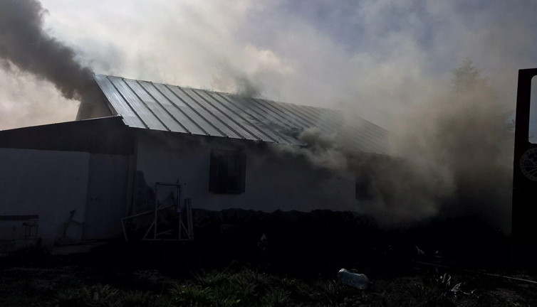 Yayla evinde facia! 4 kişi hastanelik oldu