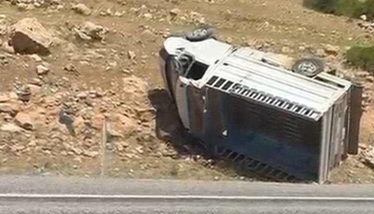 Hasankeyf yolunda kamyonet faciası