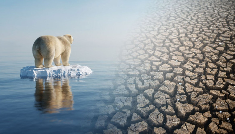 Küresel ısınmaya karşı yeni umut geleceğin şehirlerinde!