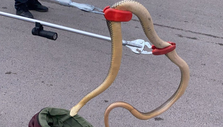 Gümüşhane'de otomobilin tekerleğine sıkıştı! İtfaiye anında devreye girdi