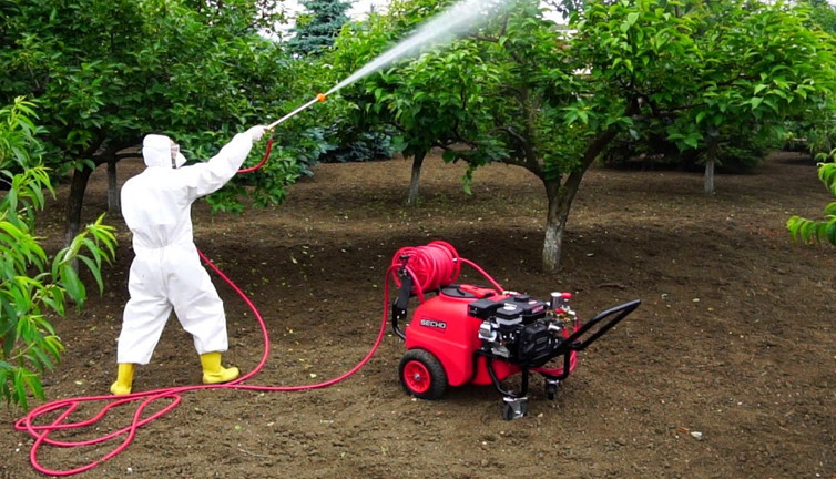 Çiftçinin kabusu oldu! İstilası durdurulamıyor