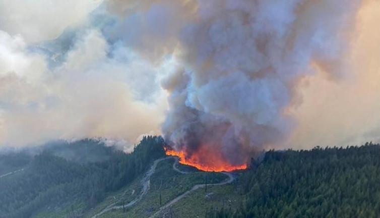 Kanada’da orman yangını: 17 bin kişi için tahliye emri