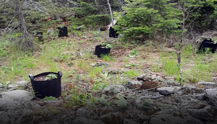 Pet şişelerle su taşıyordu! Gerçek bambaşka bir şey çıktı