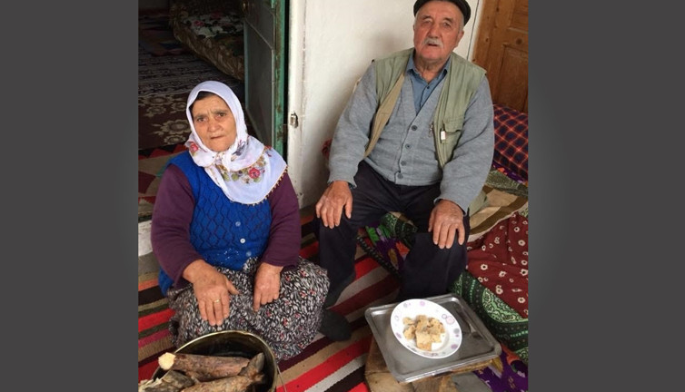 Sivas'ta ormanda feci kaza! Karı-koca öldü