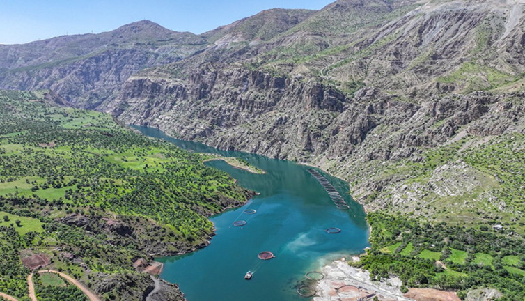 Denizi olmayan ilden 53 ülkeye balık ihracı