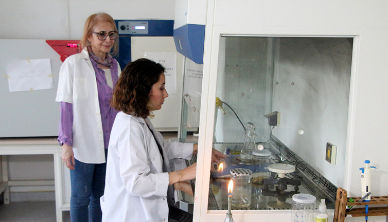 Milli tatlımızda ölümcül bakteri tespit edildi! Bayram öncesi koca şehir alarma geçti: 20 numunenin 5’inde çıktı