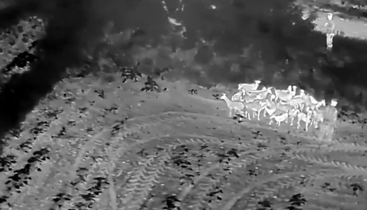 Jandarmadan gece operasyonu