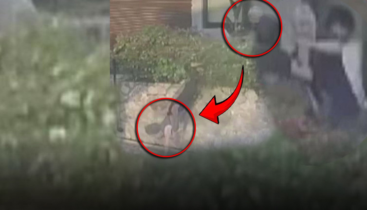 Doktordan kadın komşusunu duvardan uçurtan yumruk! Gözüne 12 dikiş atıldı kemikleri kırıldı