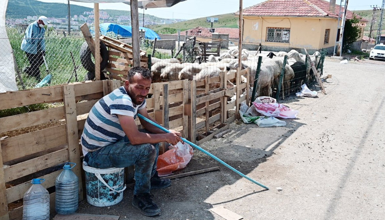 Besiciler Kurban Bayramı satışlarında umduğunu bulamadı