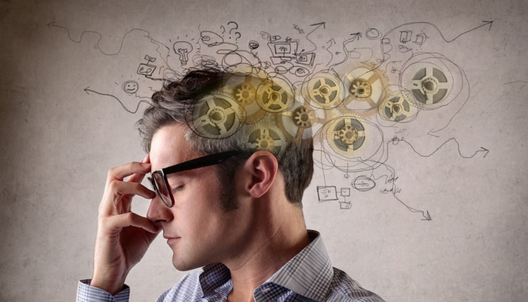 Zeki olmanın üç formülü! Beyin zirveye ulaşıyor