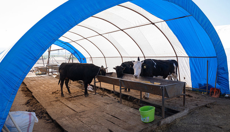 Ankara'da kurbanlık satışları sona erdi! Çadırlar toplanıyor