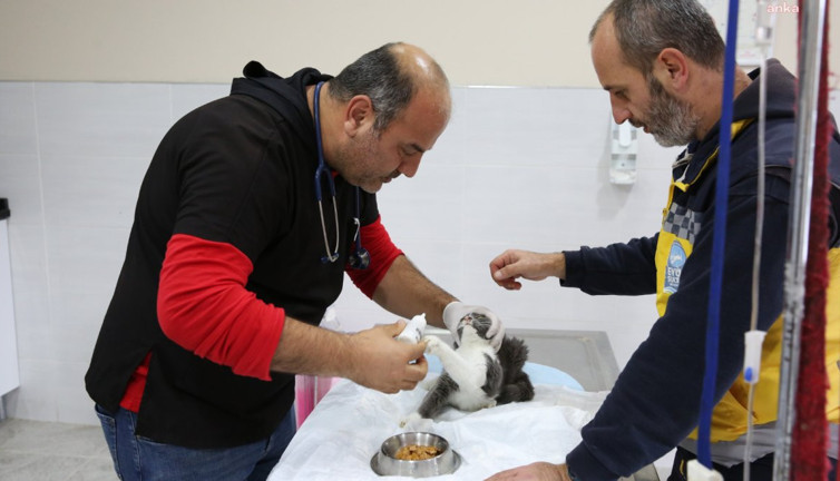 Eyüpsultan Belediyesi'nden sessiz dostlara destek