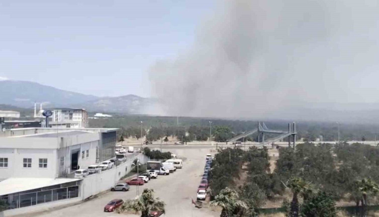 Balıkesir'de yangın paniği! Ekipler müdahale ediyor