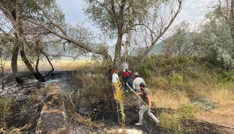 Çorum’da arazi yangını