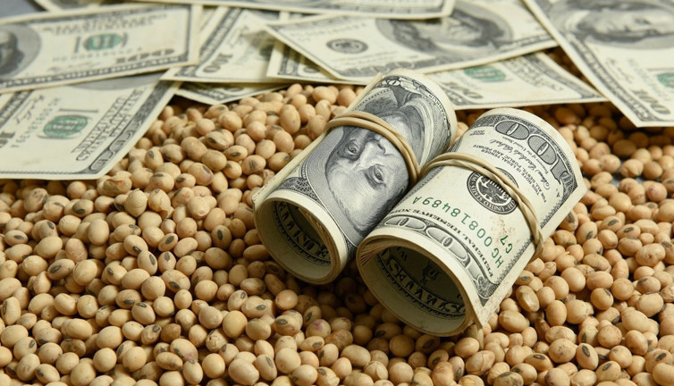Biyodizel teklifi piyasayı ateşledi: Soya fasulyesi fiyatlarını uçuşta