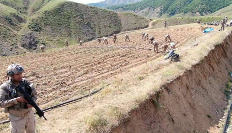 Jandarmadan 160 milyar TL'lik nefes kesen baskın. 479 tarlayı 1780 asker kuşattı