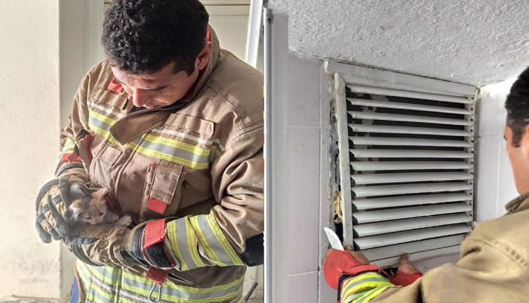 Havalandırmadan gelen miyavlama sesi kurtardı!