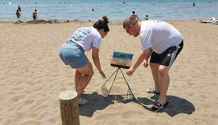 İztuzu Plajı'ndaki caretta caretta yuvalarının sayısı 300'e ulaştı