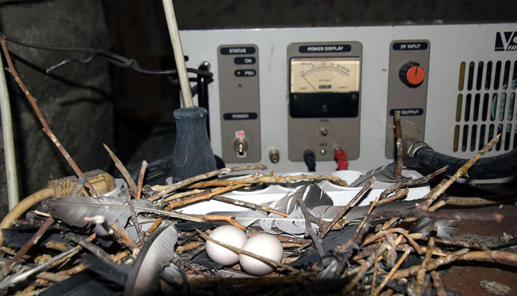 Radyo vericisine yuva! Masraf edip kurulumu taşıdı