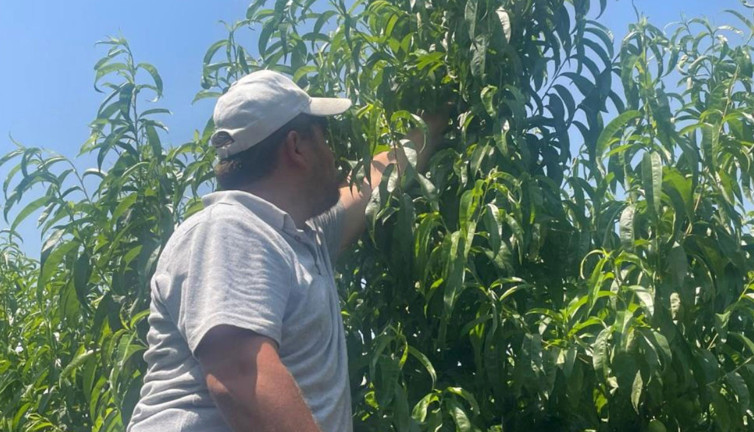Ve sezon başladı ilk fiyatı belli oldu! Yazın iki katı yükselmesi bekleniyor