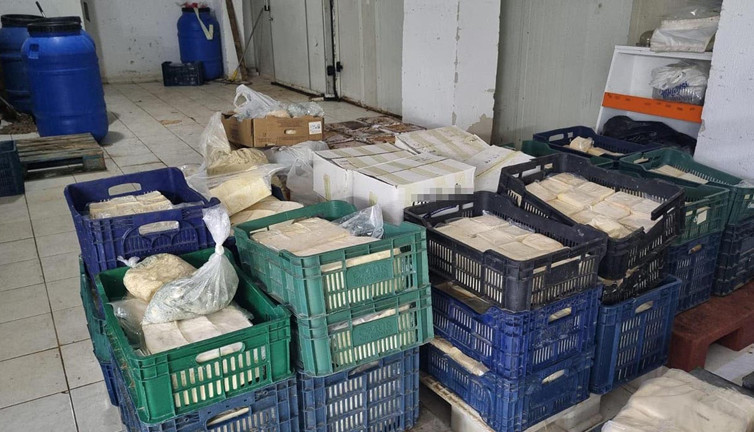 Buca’da gıda faciası! Küflenmiş peynir deposu ortaya çıktı