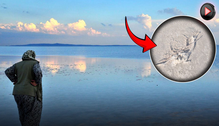 Türkiye’nin ikinci büyük gölünde katliam! Susuz kalan yüzlerce yavru öldü: Bu felakete kim 'dur' diyecek'?