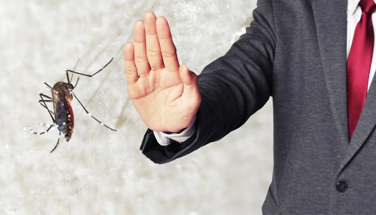 Evinizi sivrisineklerden kurtarma yöntemleri! Yaz kabusunu önleme çözümleri