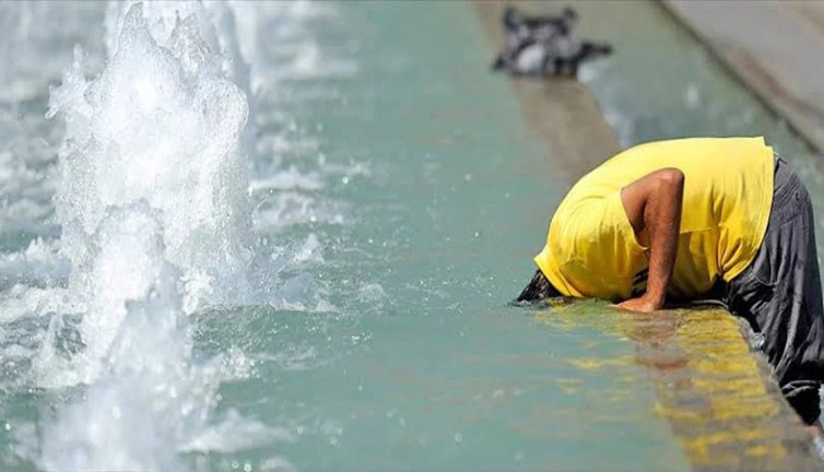 Yaz sıcağında masum görünen 4 tehlikeli besin! Uzmanlar uyarılarını sıraladı