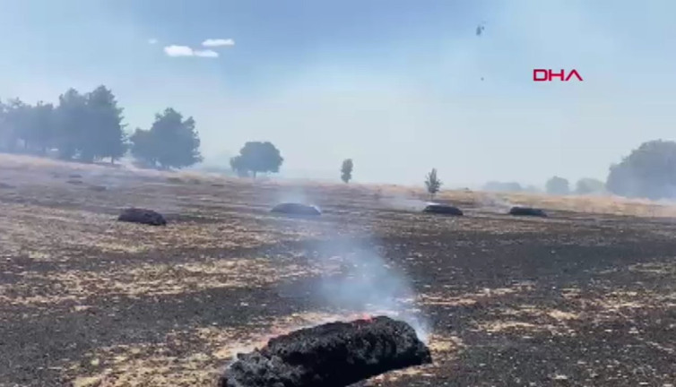 Çanakkale'de tarlada başladı, ormana sıçradı!