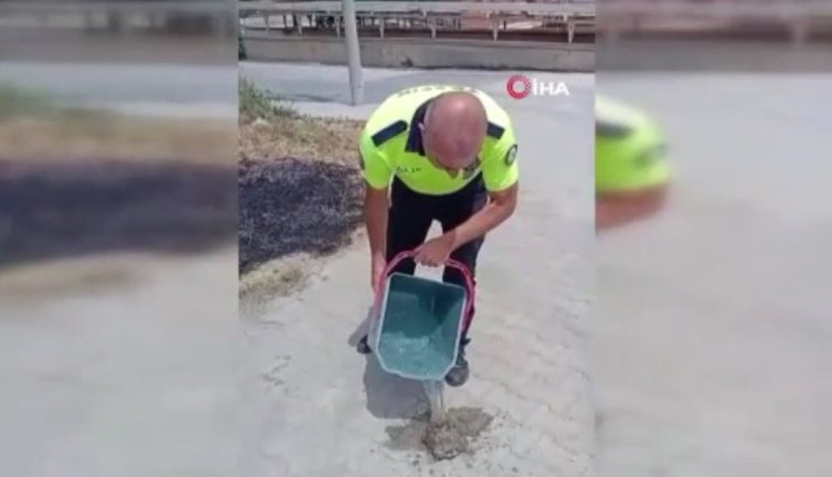 Kaplumbağayı alevlerden polis çekip aldı!