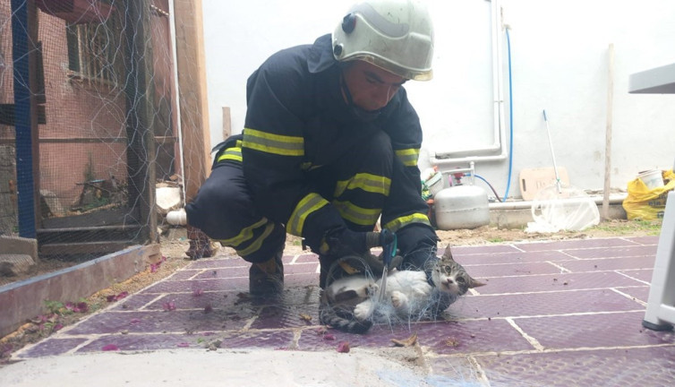 Balık ağına takılan kediye itfaiye yetişti