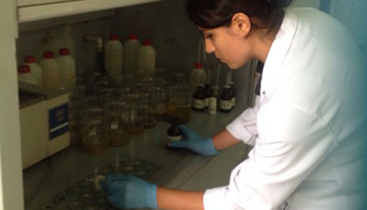 Geçmiş geleceğe taşınıyor: Türk uzmandan ABD’de kültürel miras projesi